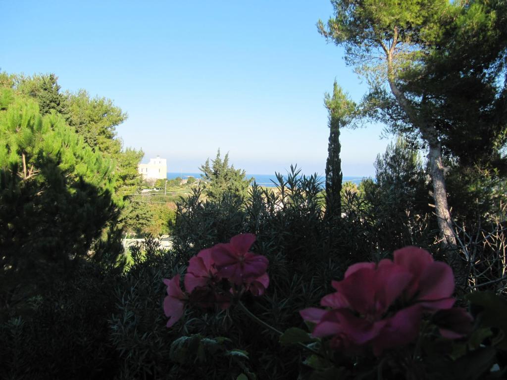 Villa Flora Studios & Apartments Conca Specchiulla Dış mekan fotoğraf